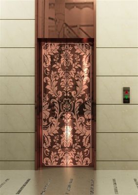 ราคาดี โลหะเหล็ก Gua Sha ราคาของลิฟท์ผู้โดยสารลิฟท์ควบคุม ออนไลน์