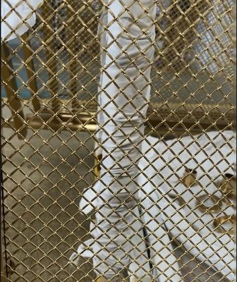 ราคาดี ขายปลีก 201/316 สแตนเลส โลหะลอก ทองแดง แผ่นแปรง โรงแรม ริมบันได / วัสดุกระโปรง ออนไลน์